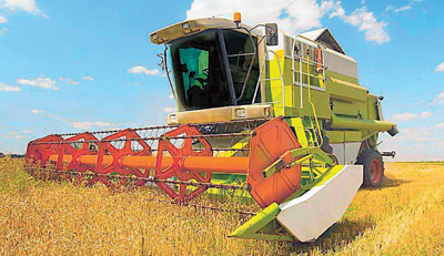 ý�壺����ũ��Ը��10���۸���¹������� Ϊɶ